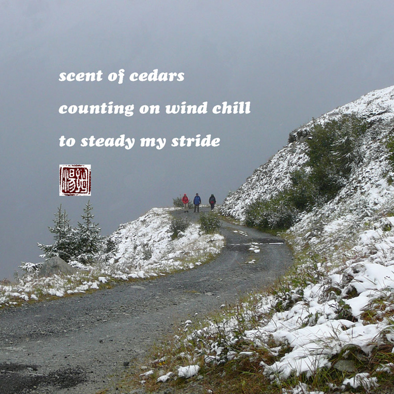 Haiga by Tom Chockley